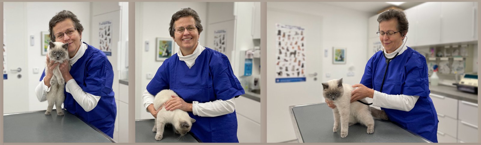 Tierarzt Praxis Dr. Margot Stampka mit Katze Tierarzt Praxis Dr. Margot Stampka mit Katze